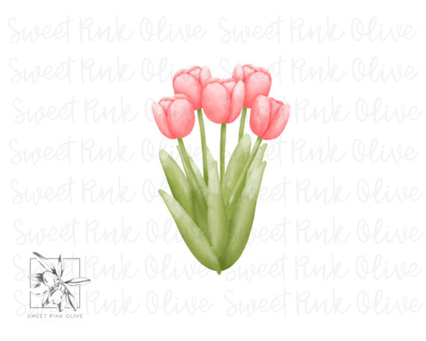 Tulip Flower